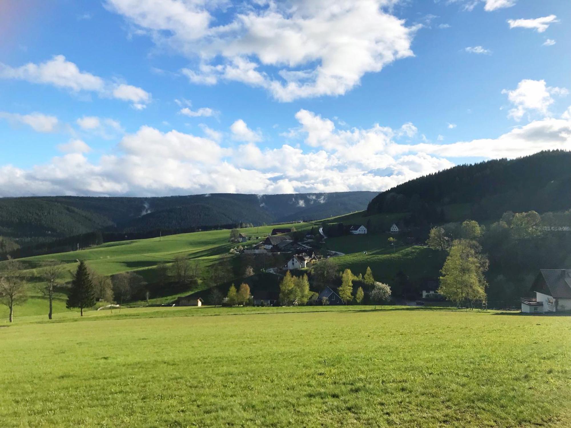 Ferienhaus Robin Титизее-Нойштадт Экстерьер фото